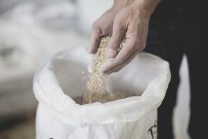 malt